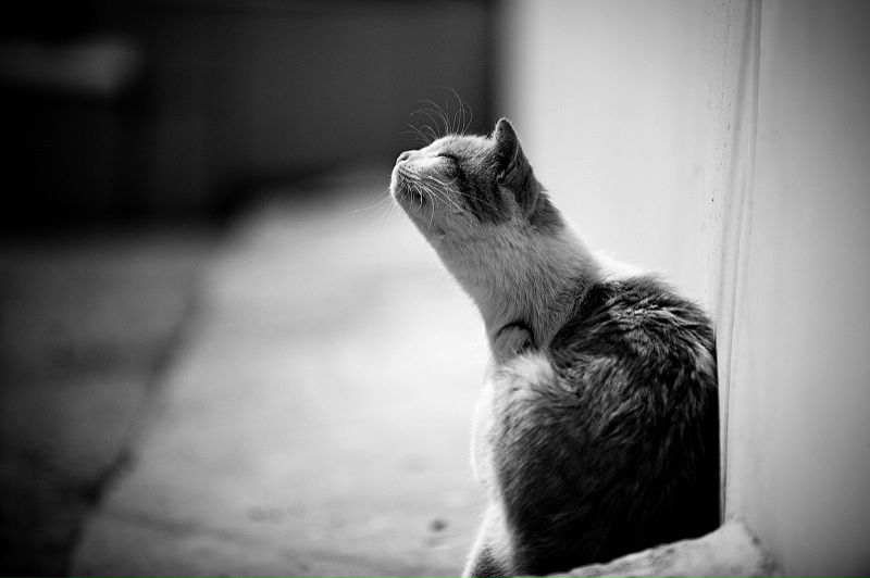 №78, Дина Лиманова, 40 лет №78, Дина Лиманова, 40 лет