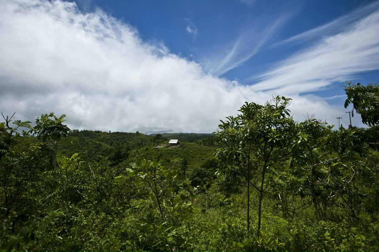 Оля Тюрикова | Москва