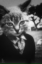 Фотография Стас Хмелёвский