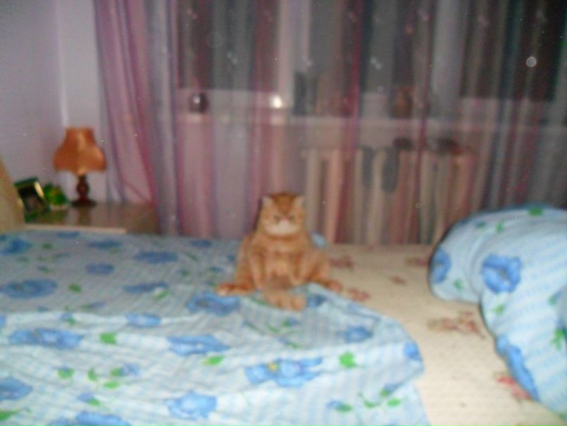 №162, Юлия Умрихина, 35 лет, Новосибирск, Россия №162, Юлия Умрихина, 35 лет, Новосибирск, Россия