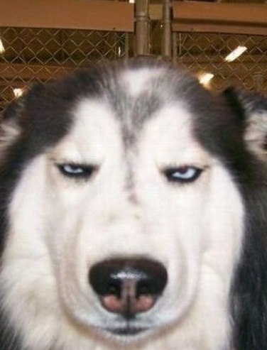 Артем Бутенко | Киев