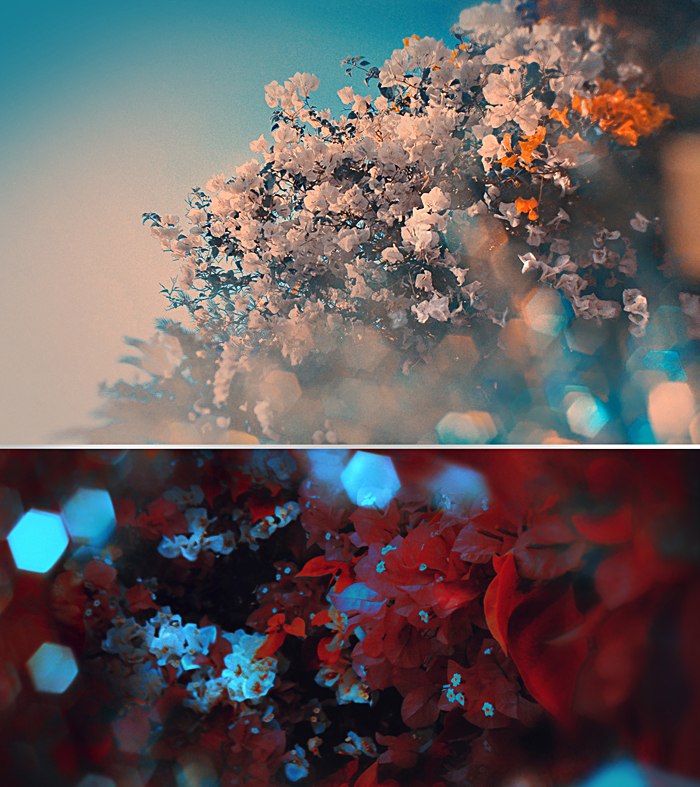 Евгеша Журавлева ● | Санкт-Петербург