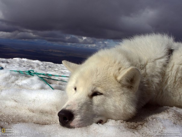 Артем Ульянов | Нижний Новгород