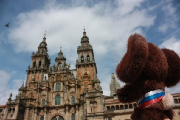 Артем Nosti | Краснодар