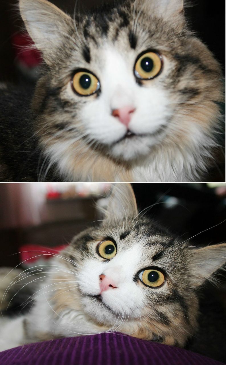 Ленуська Тарасова | Москва