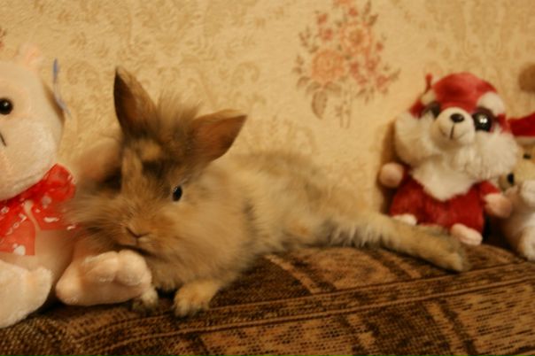 №56, Ирина Белашова, 18.12, Москва №56, Ирина Белашова, 18.12, Москва