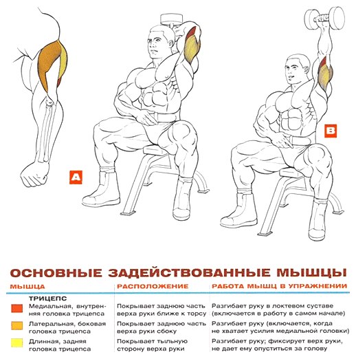 Антон Чертков | Gotham