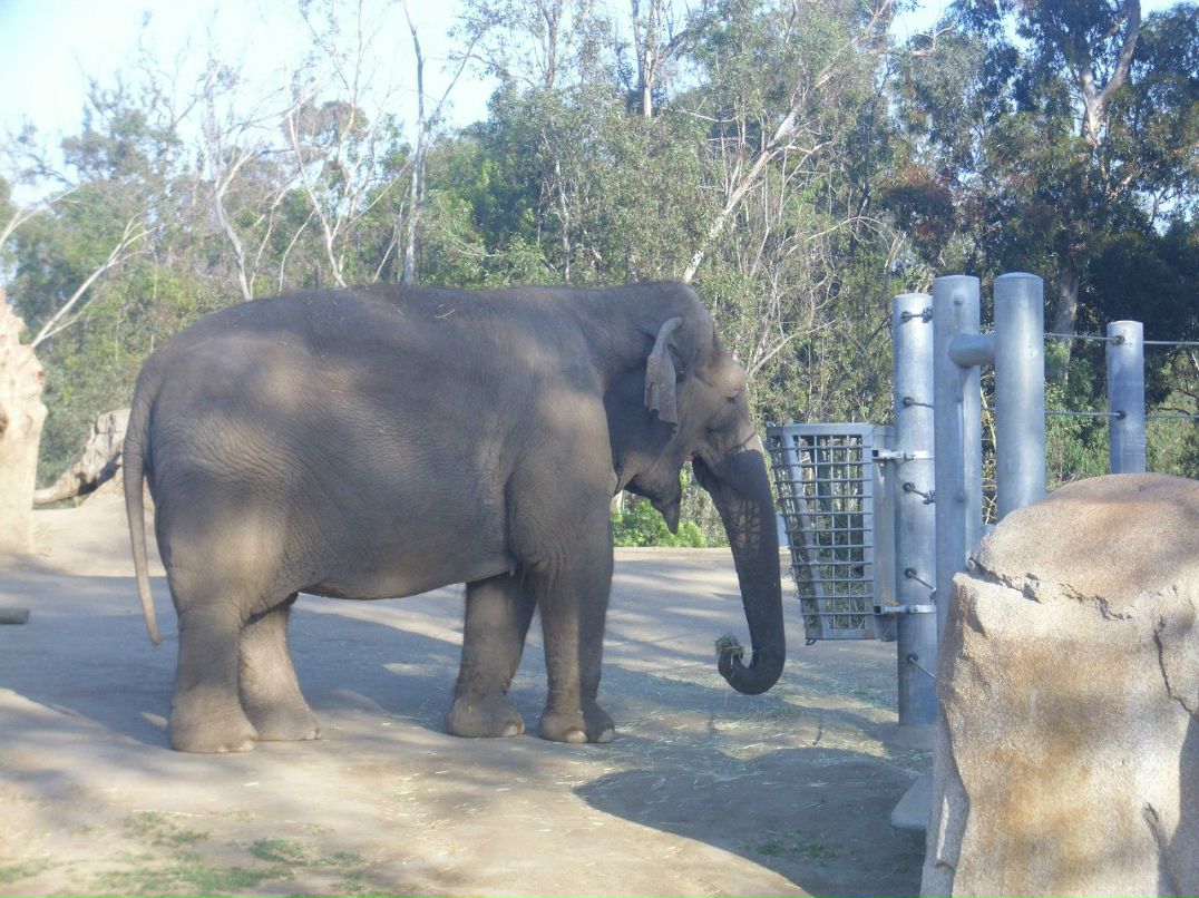 Alexandr Oseev | Magdeburg
