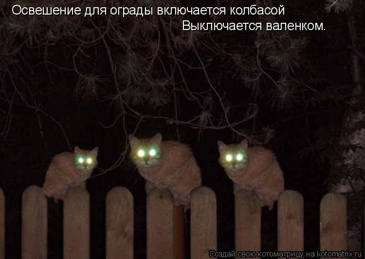 Юля Каменских | Пермь