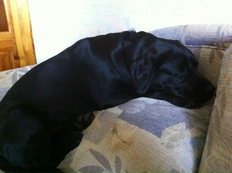 №72, Алина Данькина, Донецк №72, Алина Данькина, Донецк