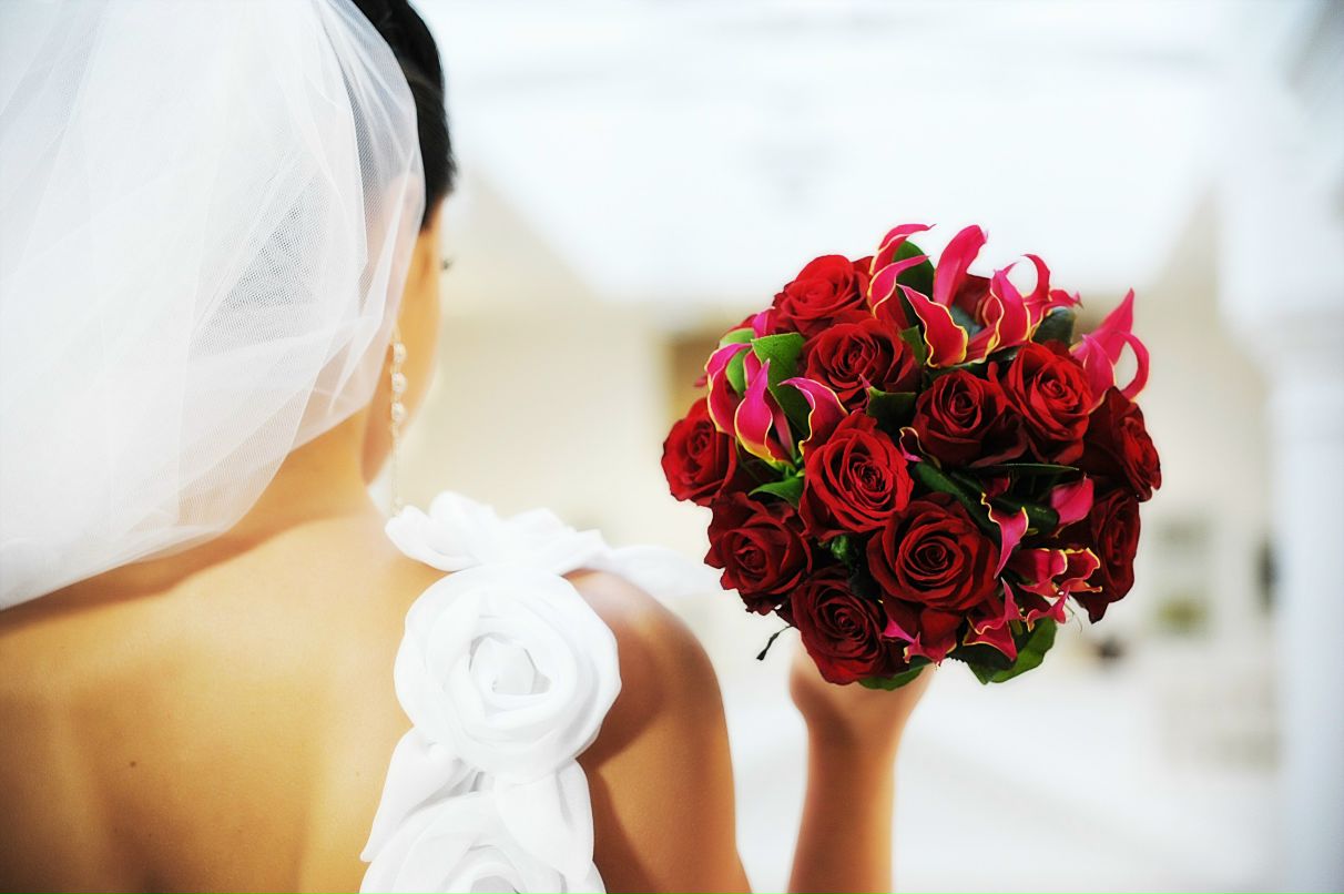 Юлия Величко | Минск