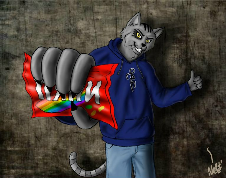 №11, Илья Хейфец №11, Илья Хейфец