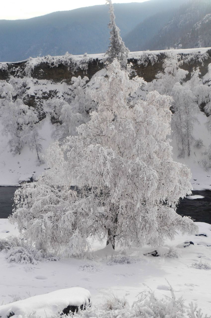 Юлечка Михеева | 