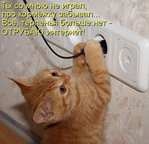 Татьяна Горбовая-Яценко | Луганск