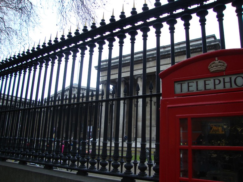 Егор Карпенков | Санкт-Петербург