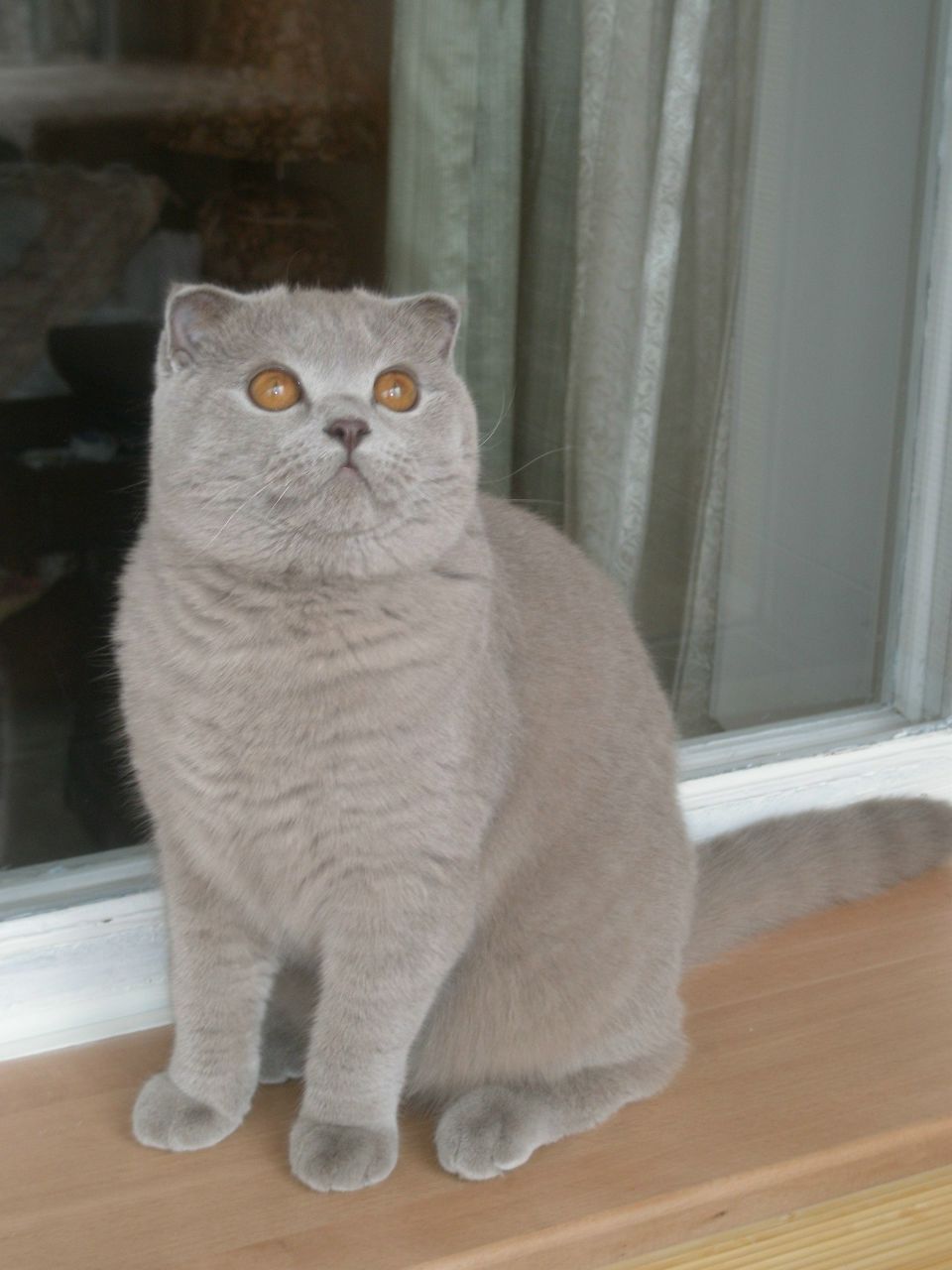 Yuliia Veres | Ottawa