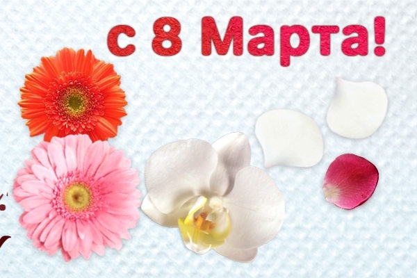 №12, Галина Ткаченко, Николаев №12, Галина Ткаченко, Николаев