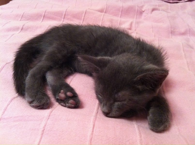 Ангелина Кожанова | Москва