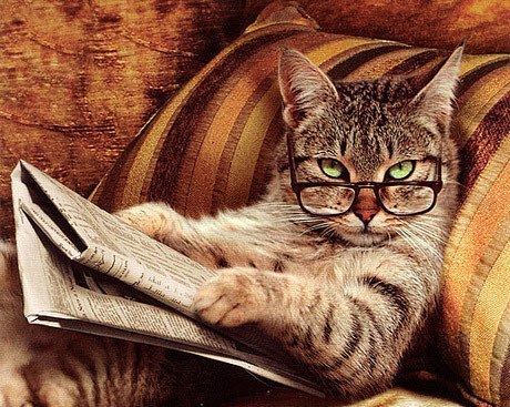 Владимир Иванов | Воронеж