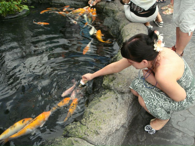 Светлана Каргина | Саратов