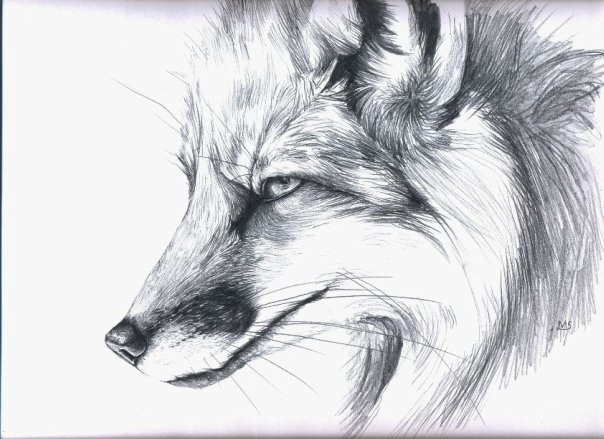 Сергей Иванов <<< ЛиС 2h >>> | Остров