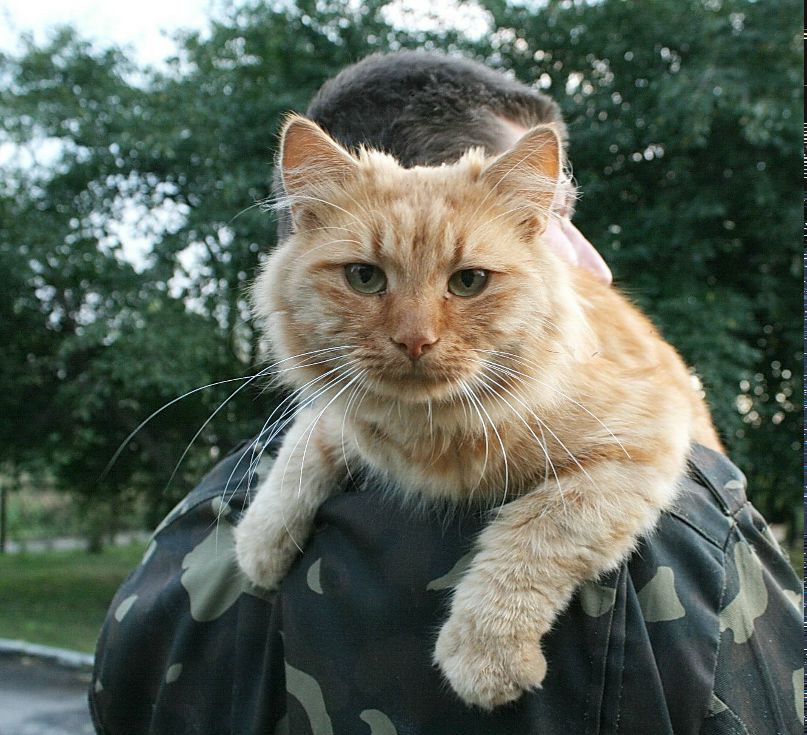 Марат Максименко | Гадяч