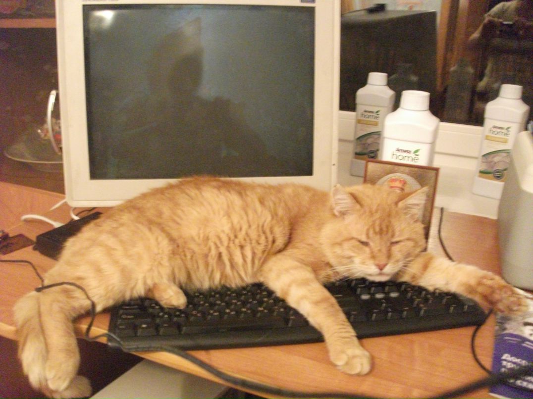 Igor Kolyma | Boston