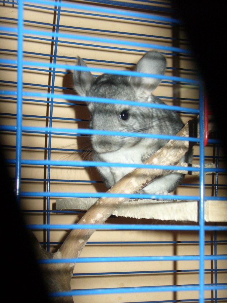 Галина Захарова *ГаЛиНкА* | Одесса