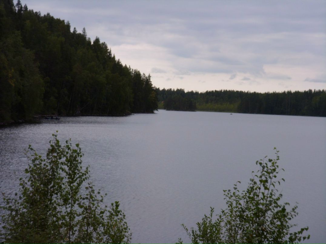 Ирина Панишева | Петрозаводск