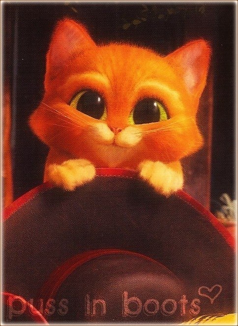 Ирина Фещенко | Первоуральск