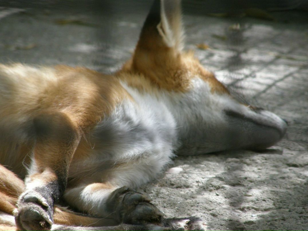 Марина Маврина-Козлова | Киев