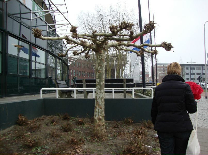 Тома Кудимова | Москва