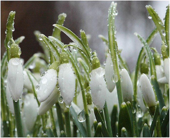 Christina New | Санкт-Петербург