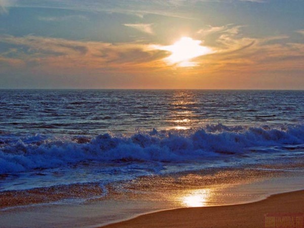 №189, Александра Капитальман, 37 лет, Киев №189, Александра Капитальман, 37 лет, Киев