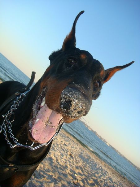 №111, Галя Воротило, 36 лет, Одесса №111, Галя Воротило, 36 лет, Одесса