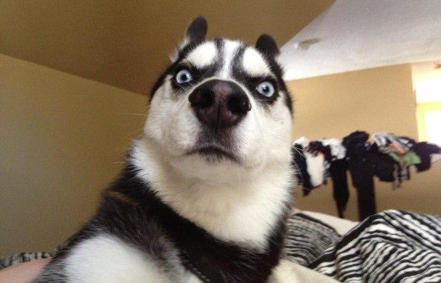 Анна Муранова | Warszawa