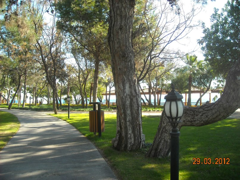 Анатолий Коробейников | Курган