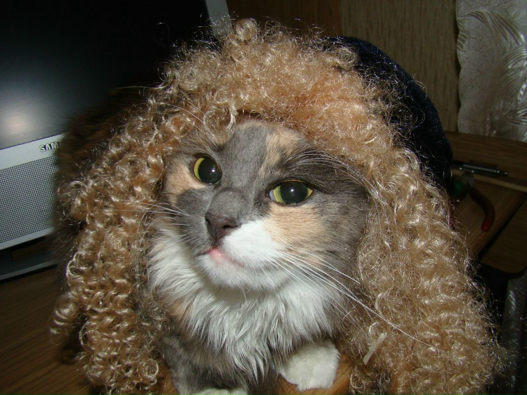 Анна Савельева | 