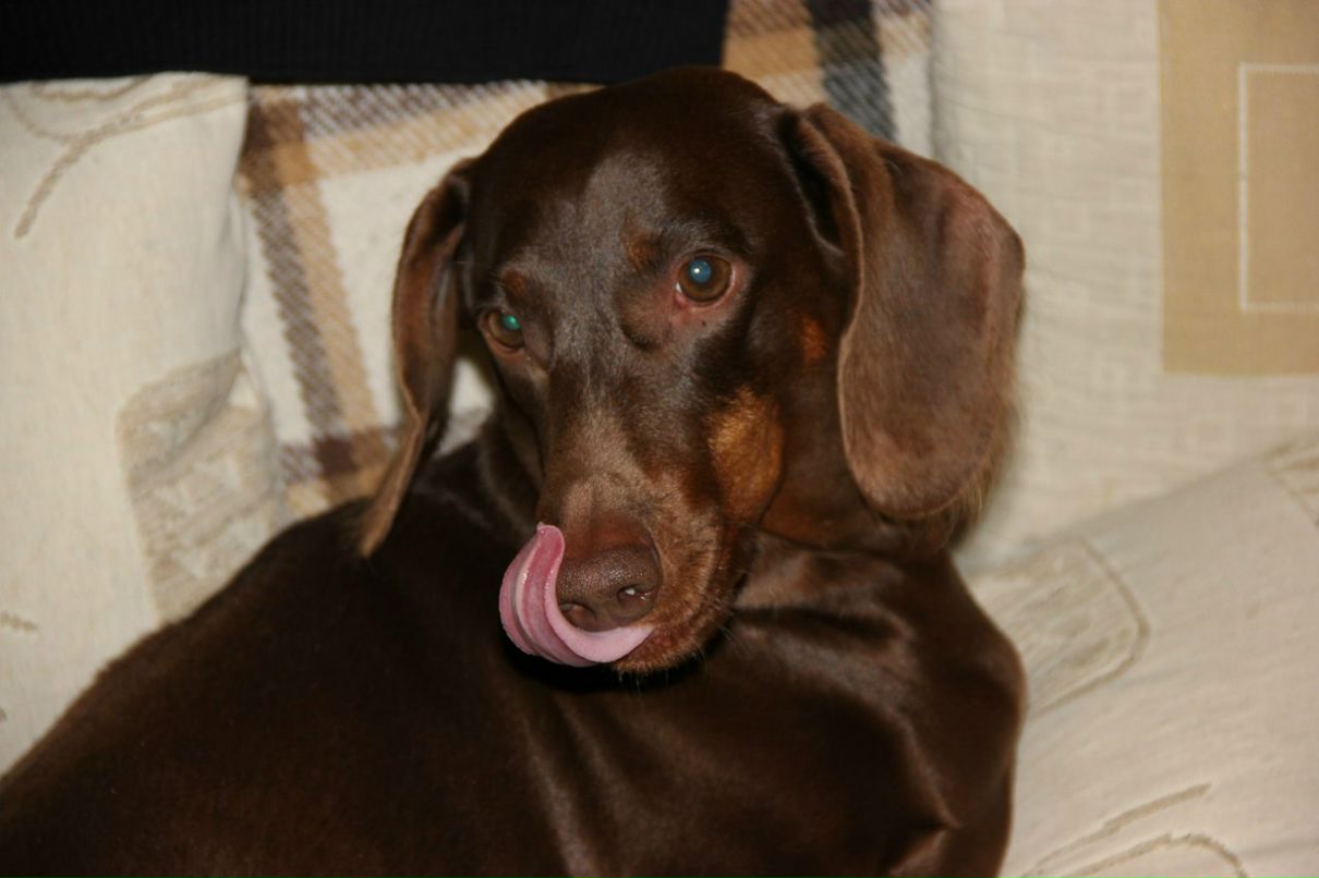 Игорь Ворона GIRGARIUS | Санкт-Петербург