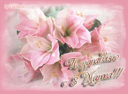 Евгений Шаблеев | Новосибирск