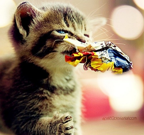 №103, Вероничка Наумова, Винница №103, Вероничка Наумова, Винница