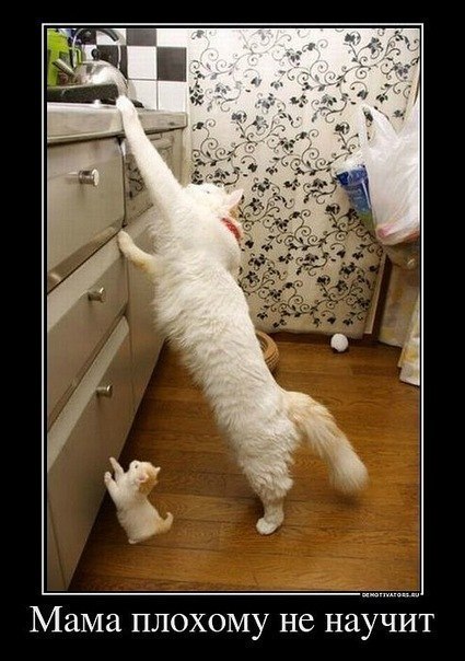 Надя Васильева | Уфа