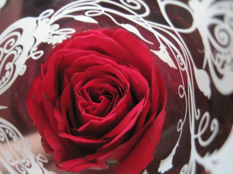 Анастасия Бочарова | Миасс