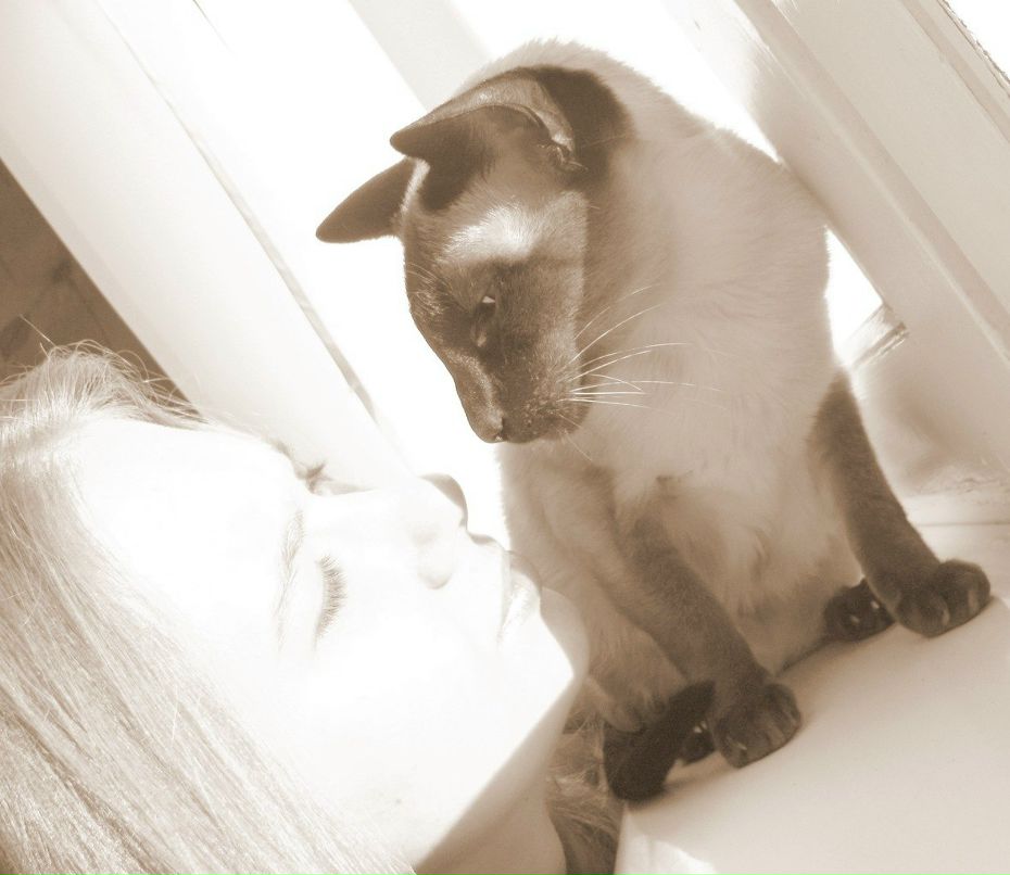 Дарья Карпенко | Москва