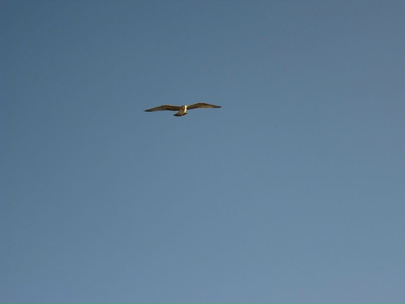 Анастасия Путятина | München