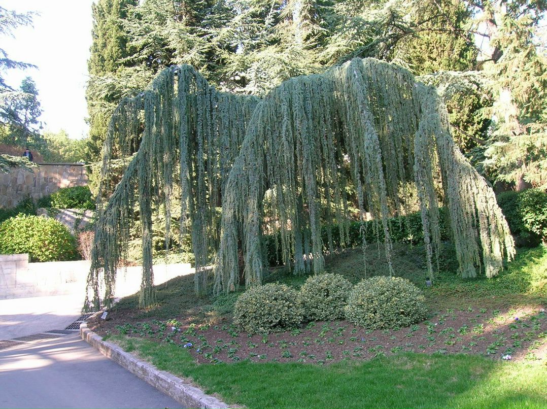 Ольга Кияшко | Краснодар