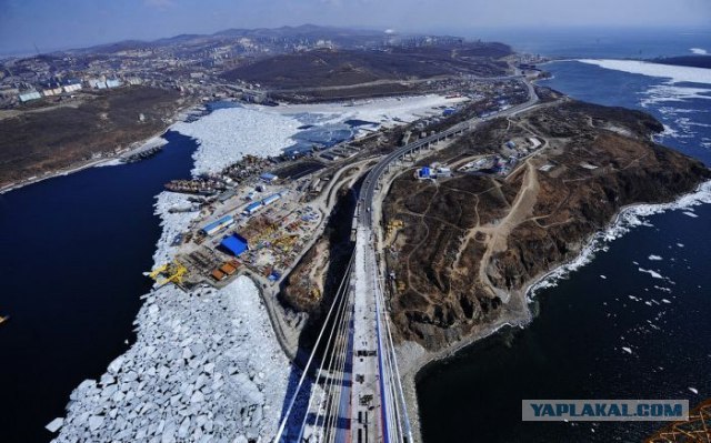 Яна Дучук | Владивосток