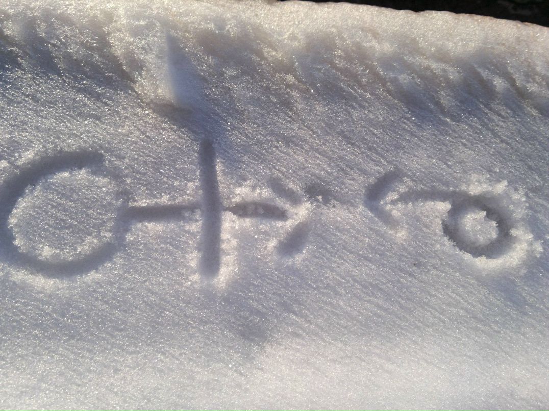 Frank Kouryakov Sesc | 