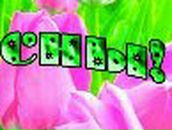 Маришка Мусиенко | Киев