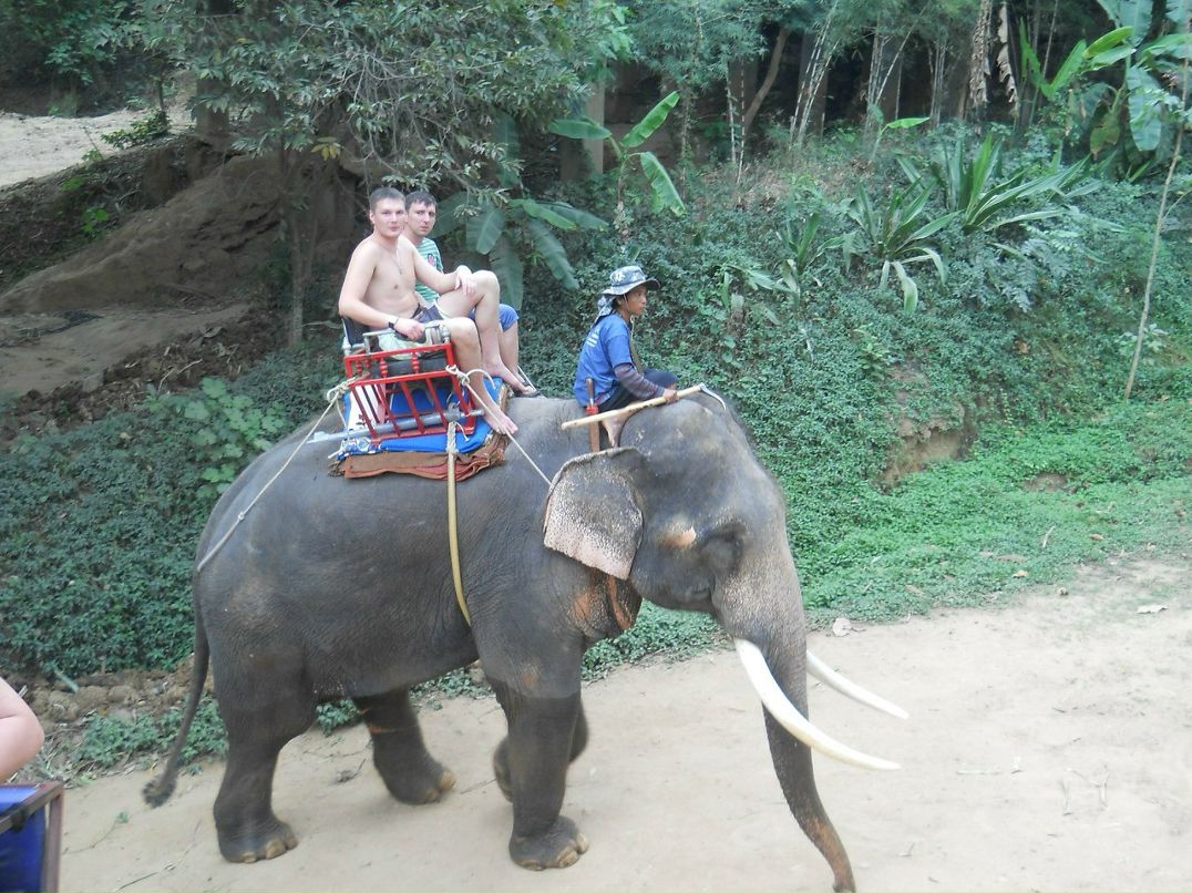 Владимир Прокопов | Новосибирск